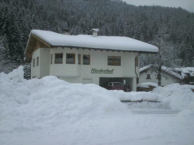 Nieslerhof Villa Майерхофен Екстериор снимка