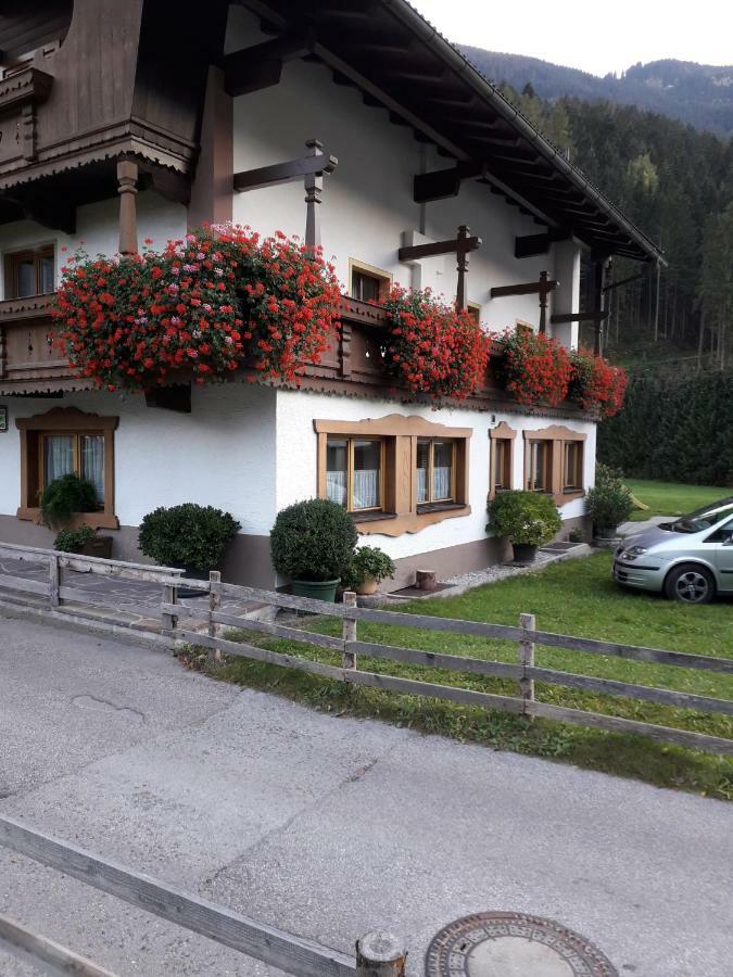 Nieslerhof Villa Майерхофен Екстериор снимка